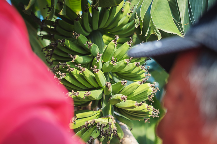 asocoffee_211017 (2)