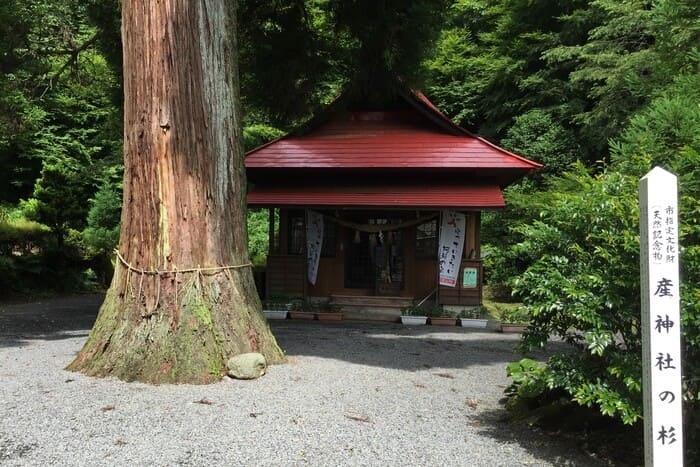 life_okomeowner_210515 (27)