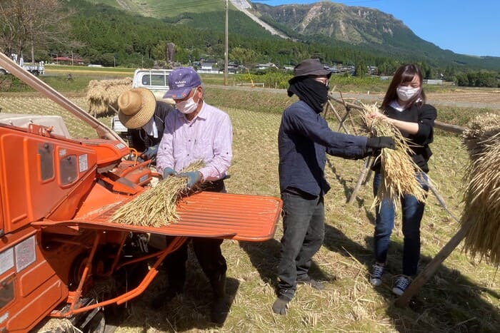 life_okomeowner_210515 (34)