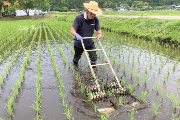 life_okomeowner_210515 (36)