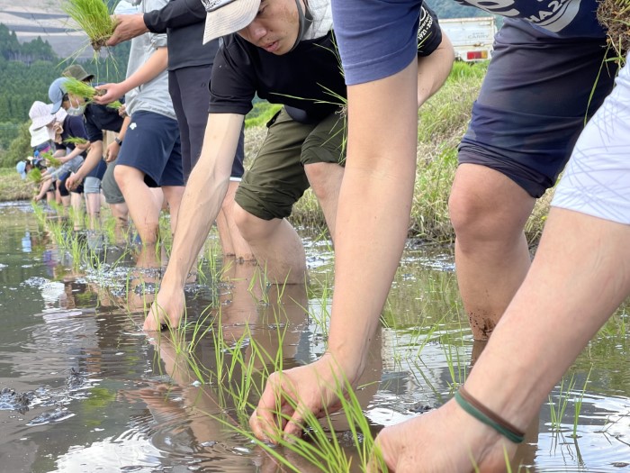 life_okomeowner_221106 (10)