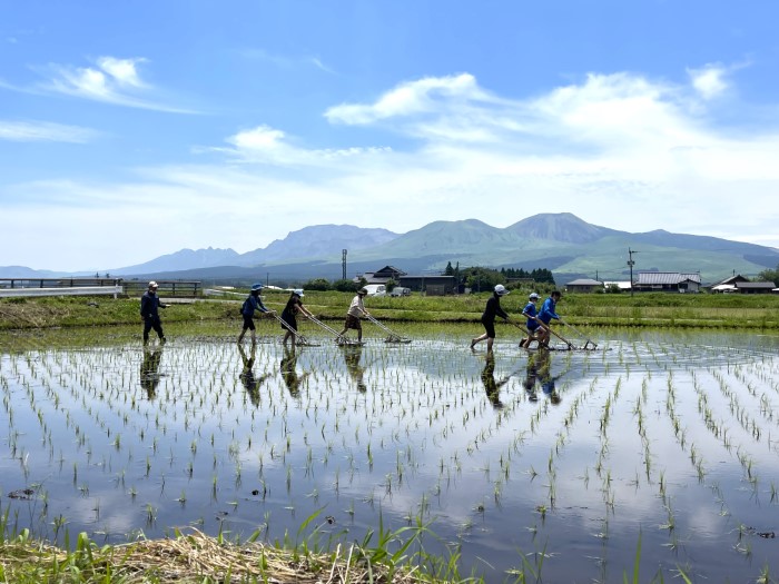 life_okomeowner_221106 (12)