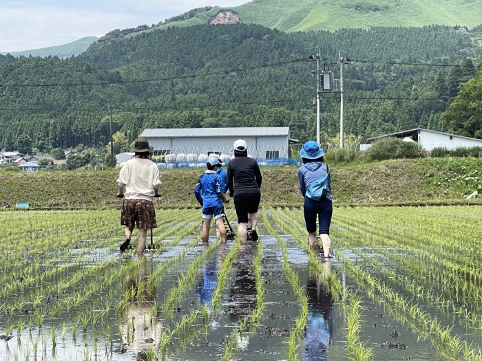 life_okomeowner_221106 (13)