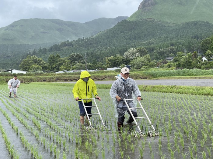 life_okomeowner_221106 (15)