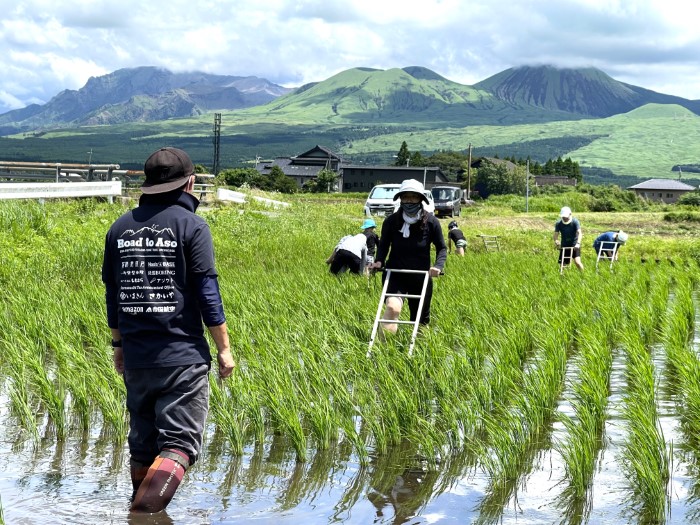 life_okomeowner_221106 (17)