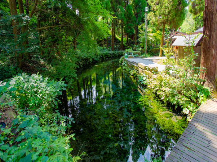 work_mtourism_231210_02