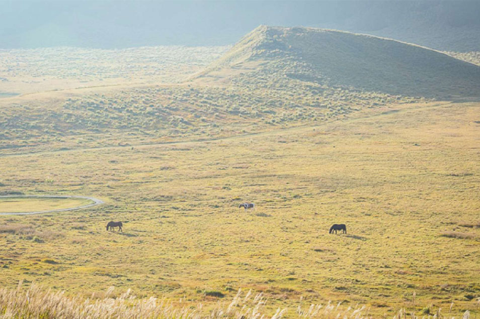 阿蘇の風景