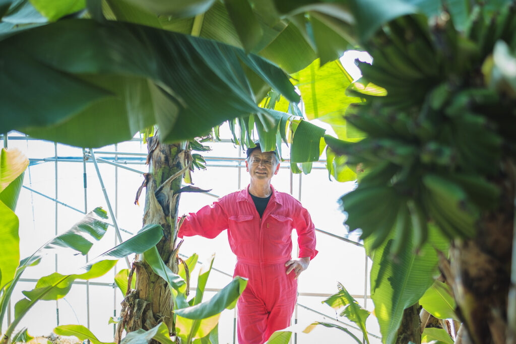 阿蘇に惚れ込んでコーヒー栽培。元高校教師の挑戦