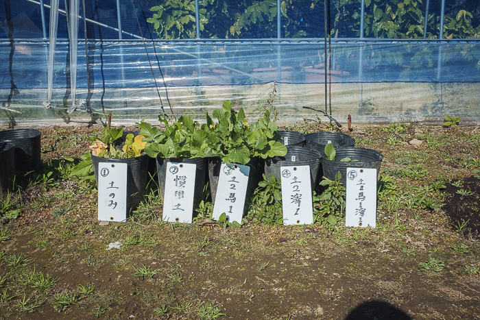 asocoffee_211017 (6)