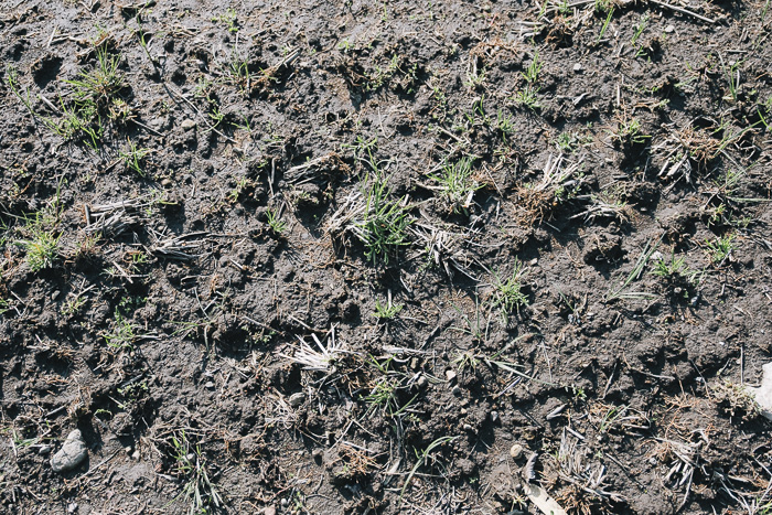 life_yoshitaka_kamakura (5)