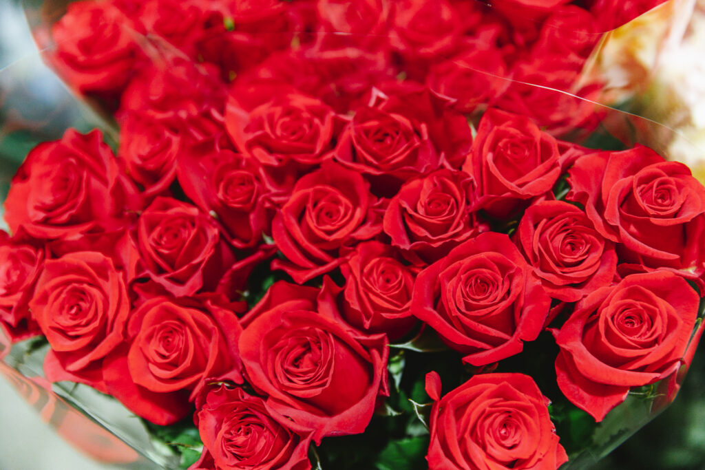 カルデラは秘密の花園、温泉が育むバラ