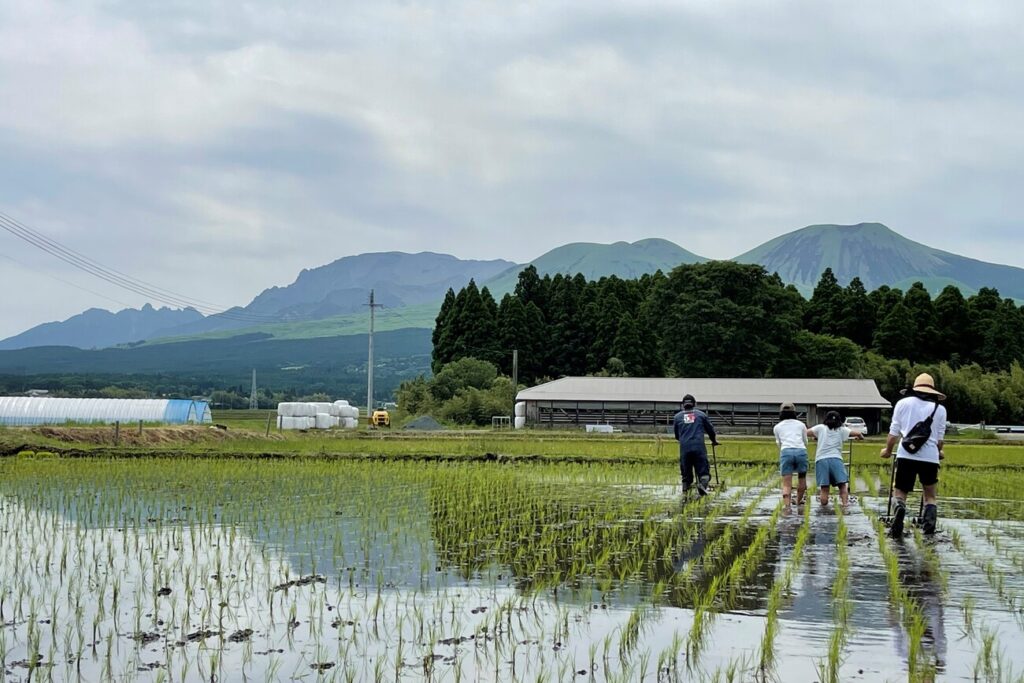 「阿蘇市狩尾のお米のオーナー制度2022」、始めます！※定数に達しました