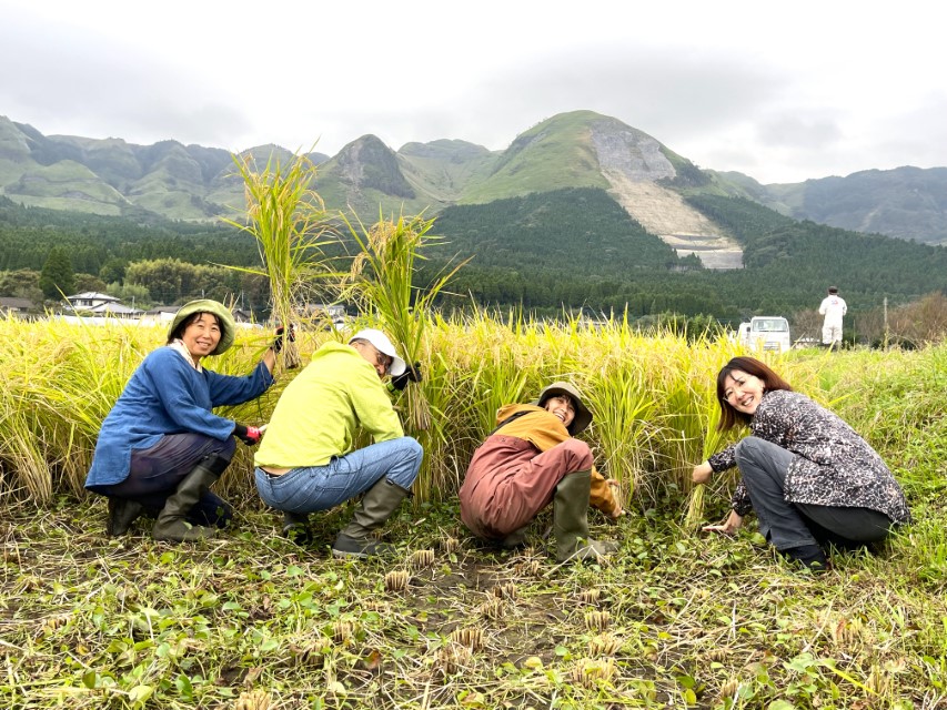 life_okomeowner_221106 (3)