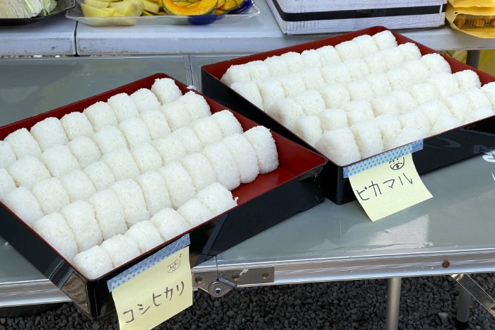 life_okomeowner_221106 (5)